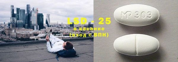 индика Надым