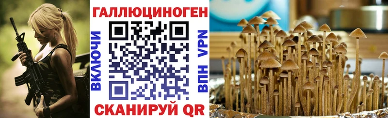 Галлюциногенные грибы Psilocybine cubensis  Мещовск 
